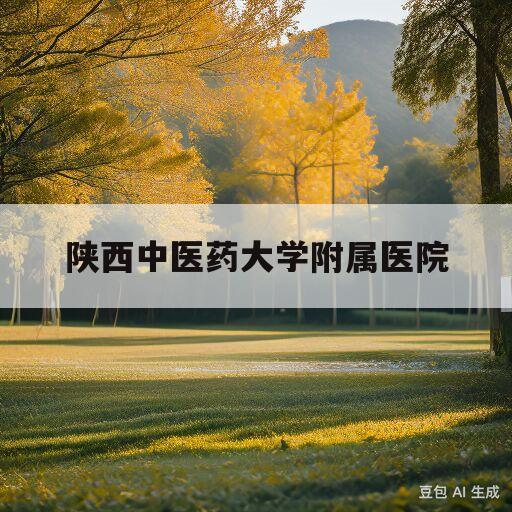 陕西中医药大学附属医院